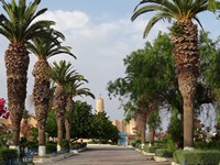  Фото ТУНИСА