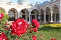  Фото Турции